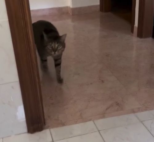 Приятный собеседник⁠⁠