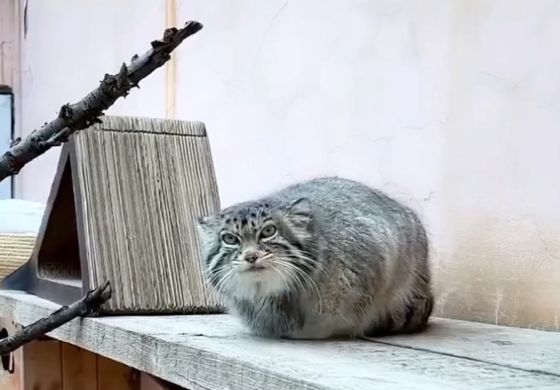Ты чё, снимаешь?⁠⁠