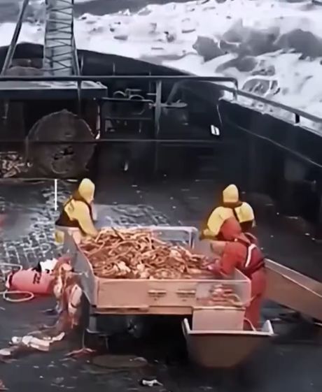 Сила океана