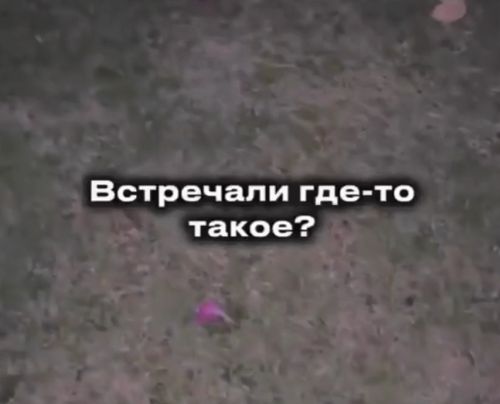 Шашлычка⁠⁠