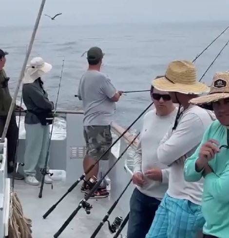 Сова села на шапку⁠⁠