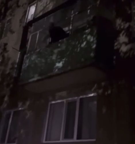 Эпичная ликвидация Андрюхи