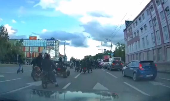 Стадо баранов