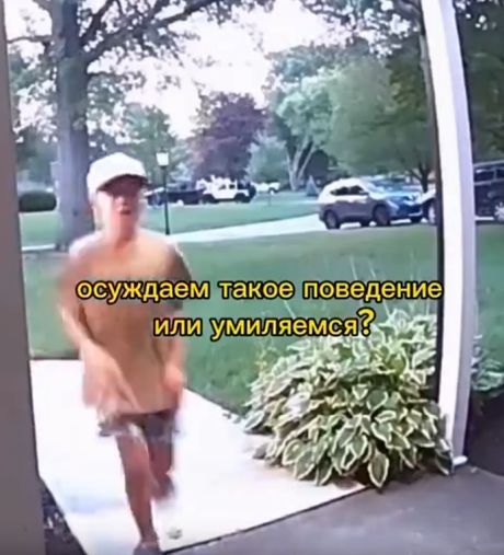 Яблоко от яблони