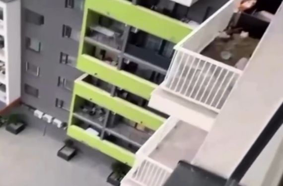 Москвичка превратила балкон новостройки в курятник