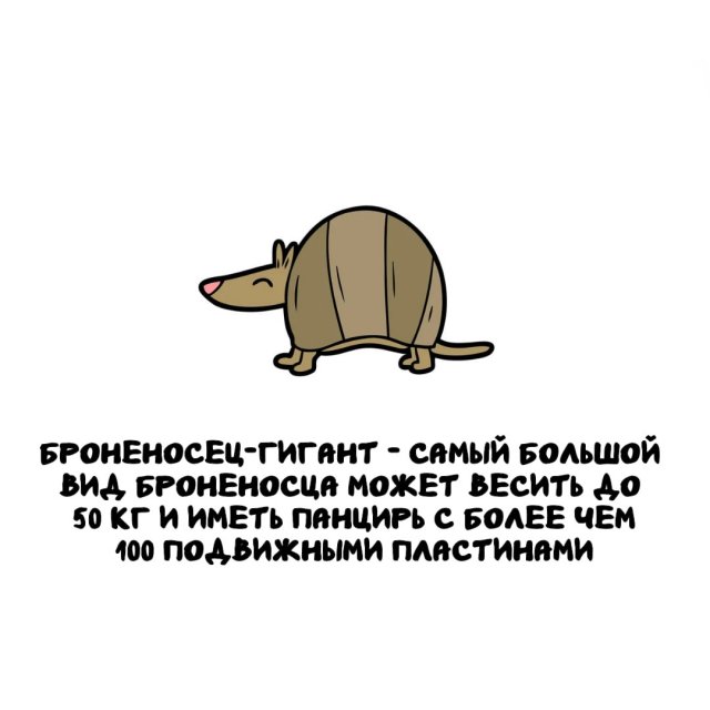 Интересные факты на все случаи жизни (15 фото)