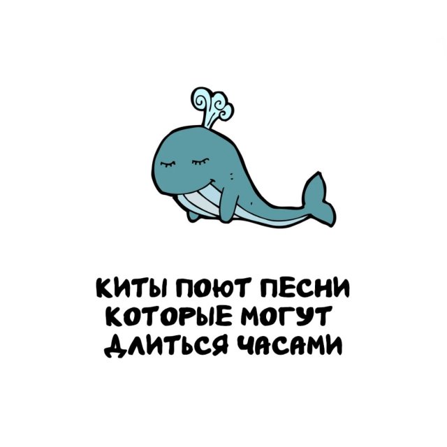 Интересные факты на все случаи жизни (15 фото)