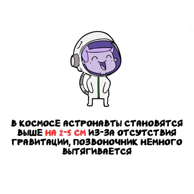 Интересные факты на все случаи жизни (15 фото)