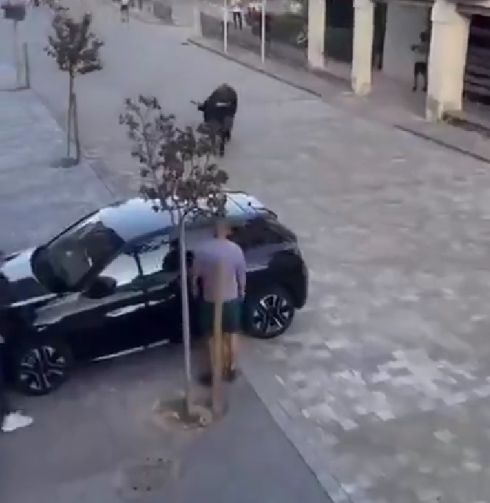 Испанские забавы