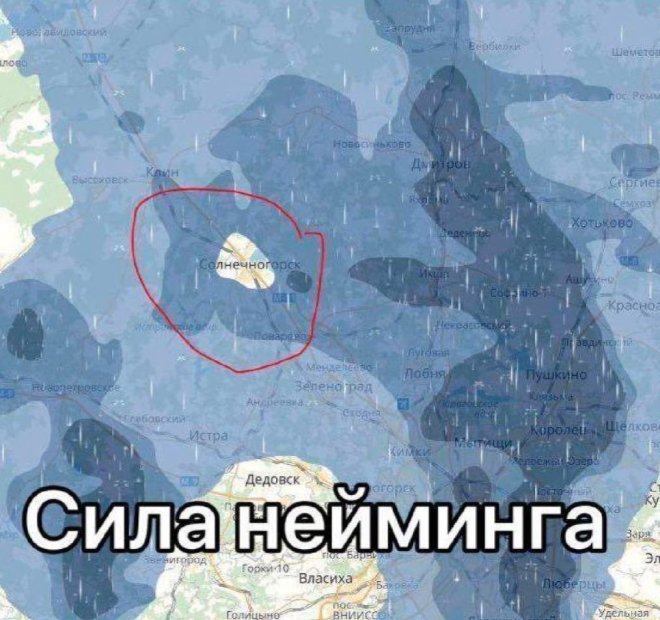 Подборка мемов