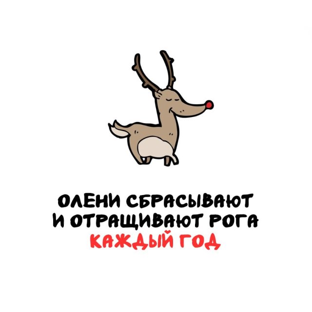 Интересные факты на все случаи жизни (15 фото)