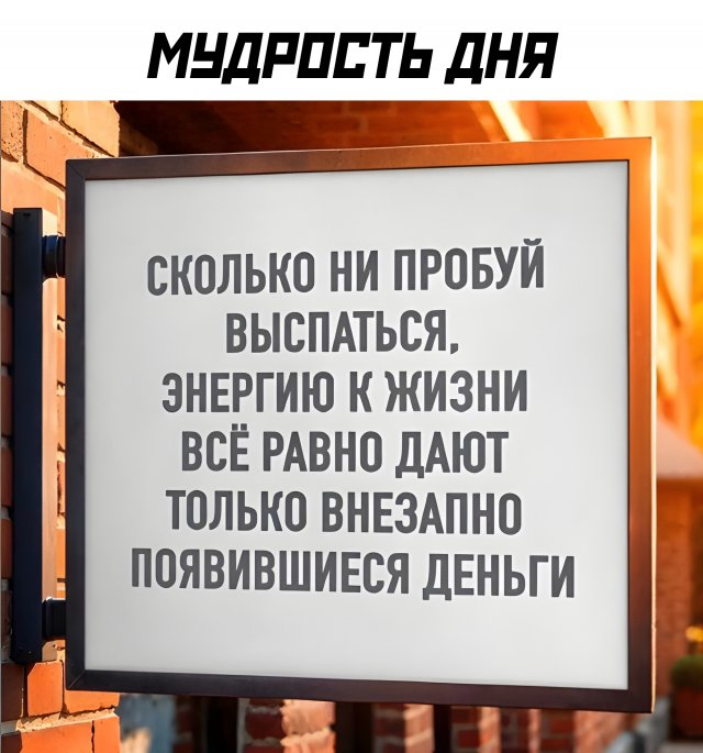 Приколы и картинки 25.09.2025