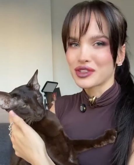 Ну и почему ты ещё не завёл себе ориентала?