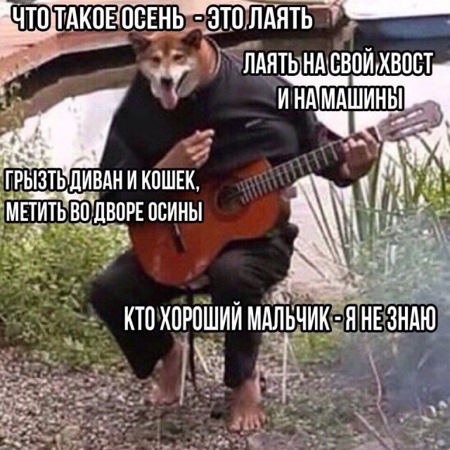 Приколы и картинки 11.09.2025