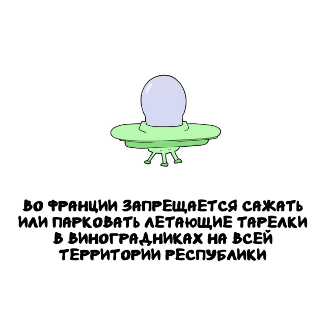 Интересные факты на все случаи жизни (15 фото)