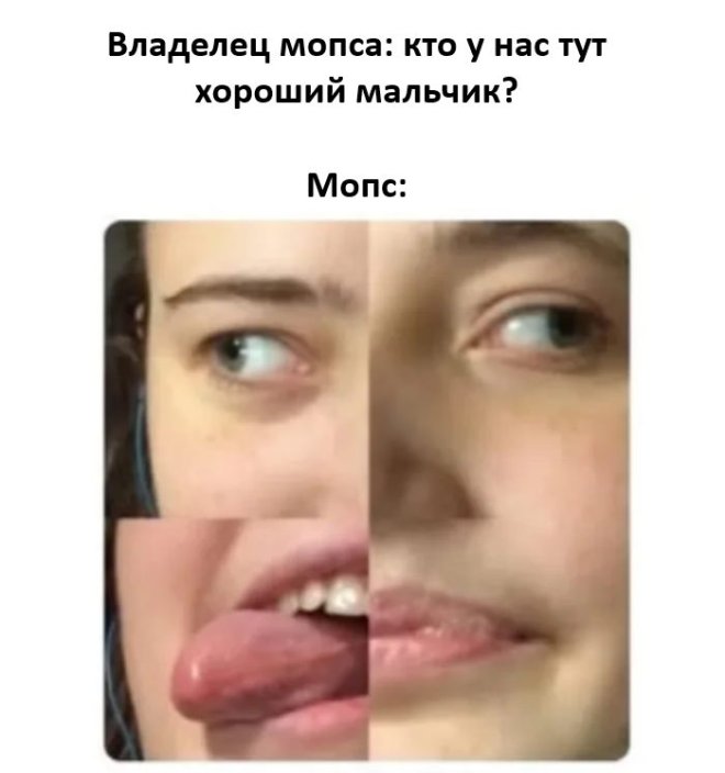 Подборка мемов