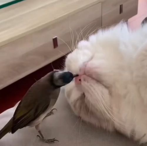 Утро начинается не с кофе⁠⁠