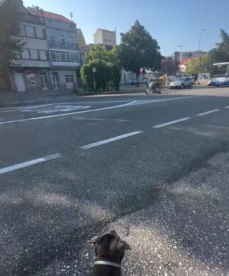 Я тоже хочу с ветерком