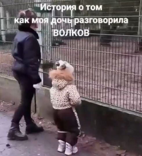 Волчий инстинкты⁠⁠