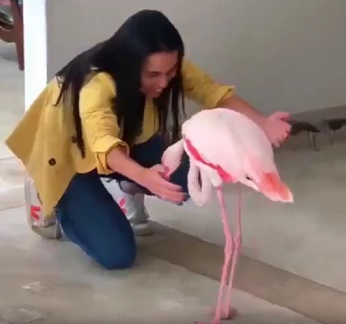 Ласковый и такой доверчивый дитя заката