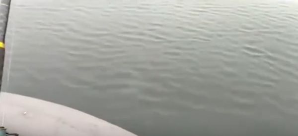 Полурак полу... Какой-то