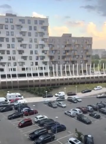 Метод против голубей "колхозный" конечно, но главное что рабочий⁠⁠