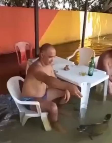 Пиво с рыбкой