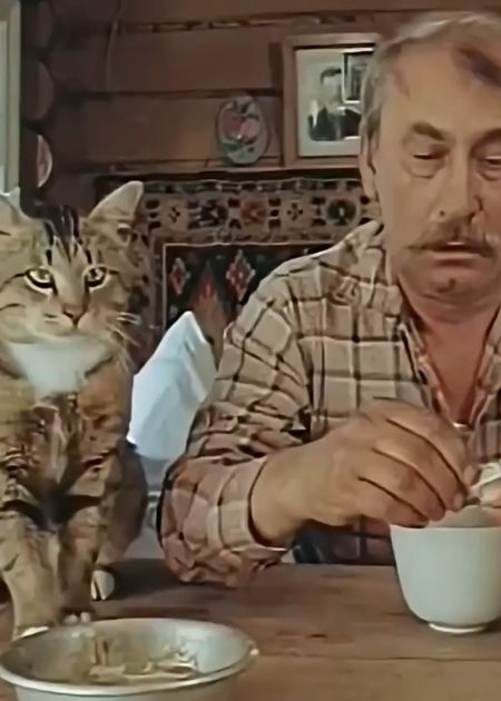 Любите своих животных