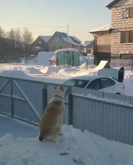 Тот, кто будет любить тебя всегда