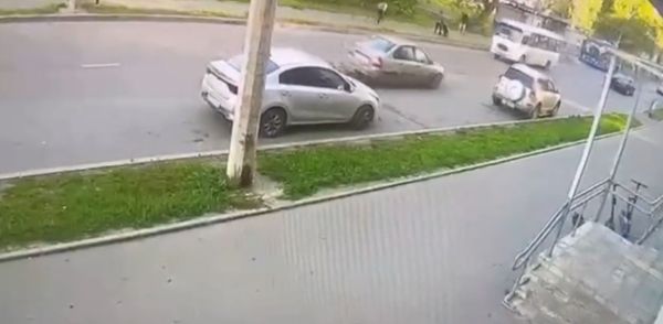 Два петуха