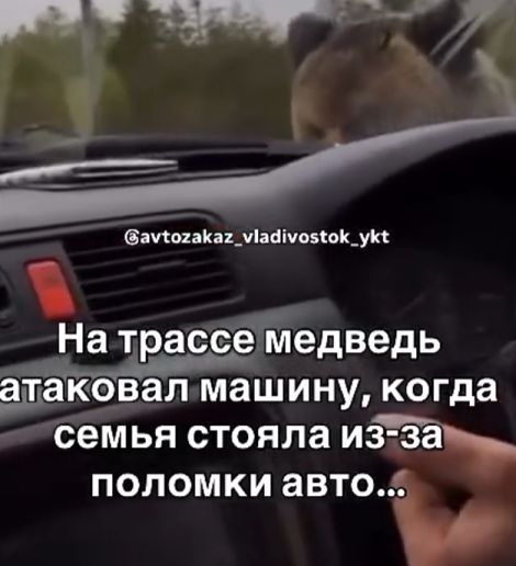 Консервы сами себя не съедят
