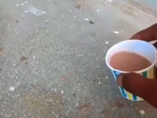 Сообщил