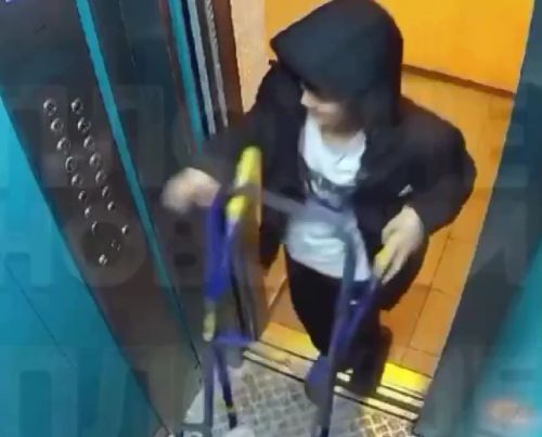 Верблюд в лифте