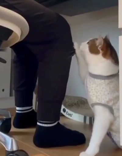 Каждый заслуживает любви