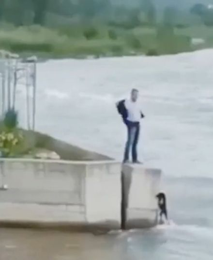 Спас бедолагу