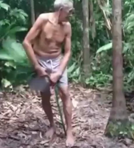 Возможно однажды вы заблудитесь в лесу и вам необходимо будет залезть на дерево, чтобы поймать сигнал связи на телефоне