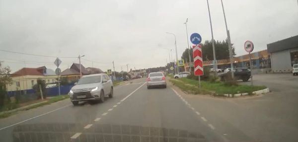 В Татарстане даже коты соблюдают ПДД⁠⁠