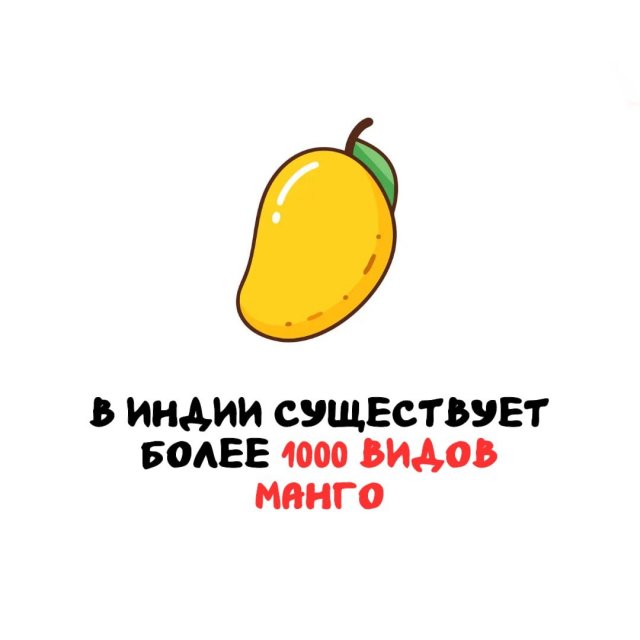 Интересные факты на все случаи жизни (15 фото)
