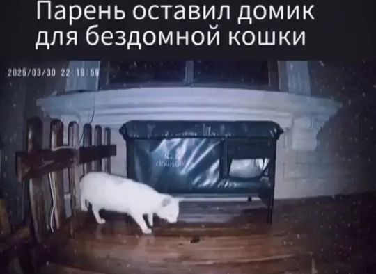 Доброты пост