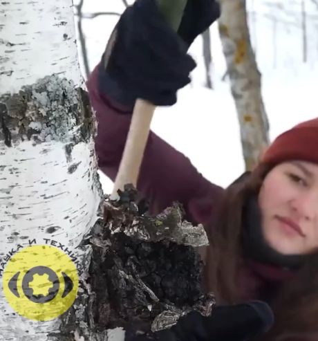 Добыча огня в зимнем лесу⁠⁠