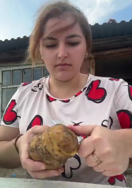 А вы любите требуху?