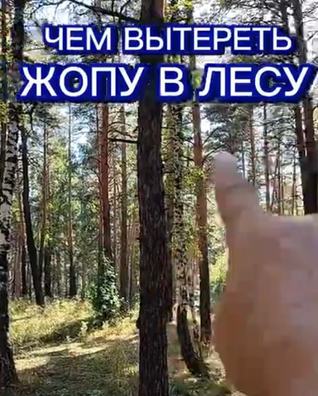 Лесные гаджеты