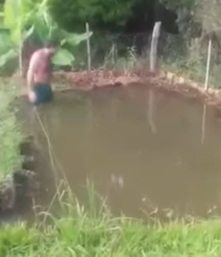 Хорошо иметь прудик в деревне⁠⁠
