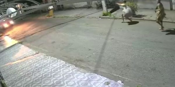 Гоп-стоп не задался⁠⁠