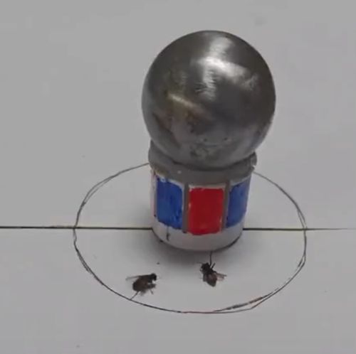 Мух бьют⁠⁠
