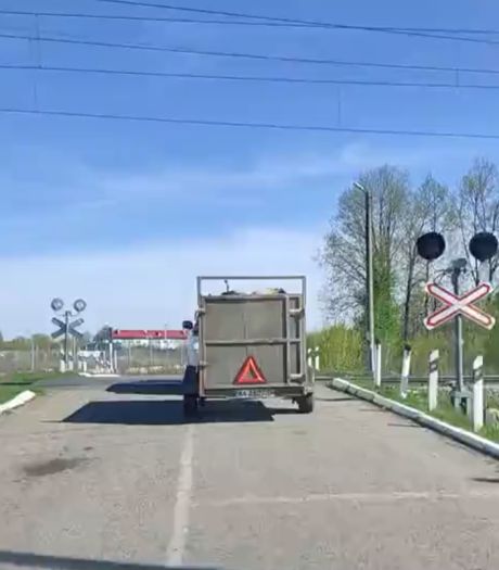Такое не каждый день увидишь