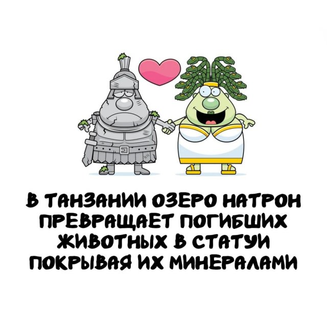 Интересные факты на все случаи жизни (15 фото)
