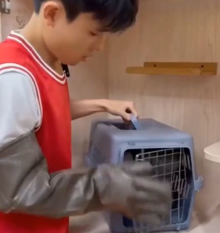 Имя ему — «Чистенькая Ярость»