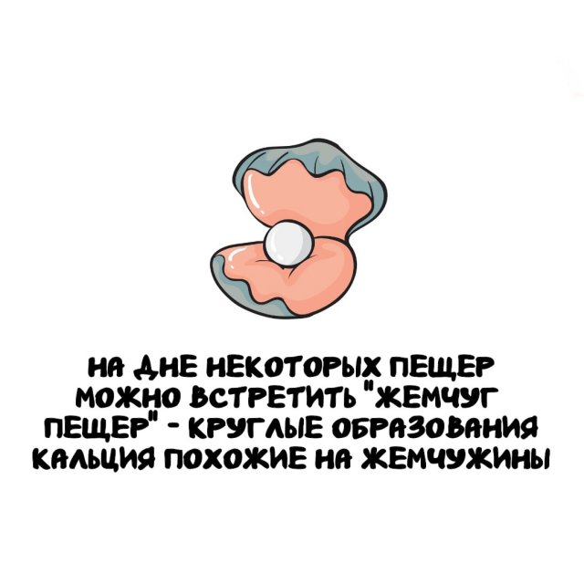 Интересные факты на все случаи жизни (15 фото)