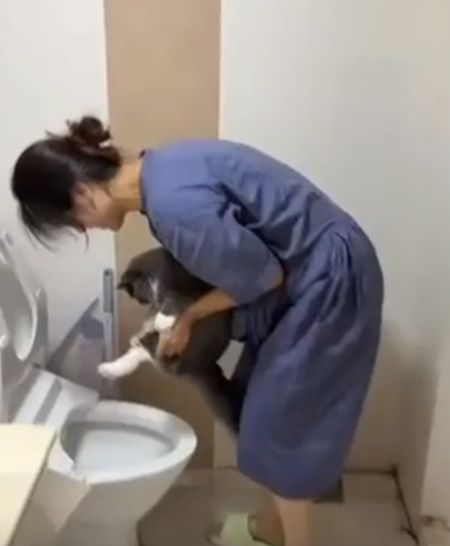 Думали, что видели всё?